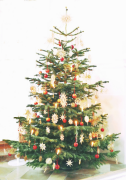 weihnachtsbaum 35 liste